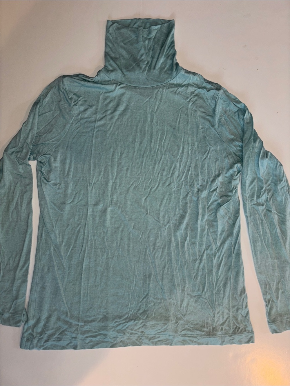 WinterSilks Light Teal Turtleneck Long Sleeve Top
